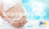 酉阳县苹果维修服务网点