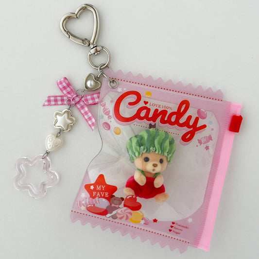 keychain carry case 🧸 watermelon bear