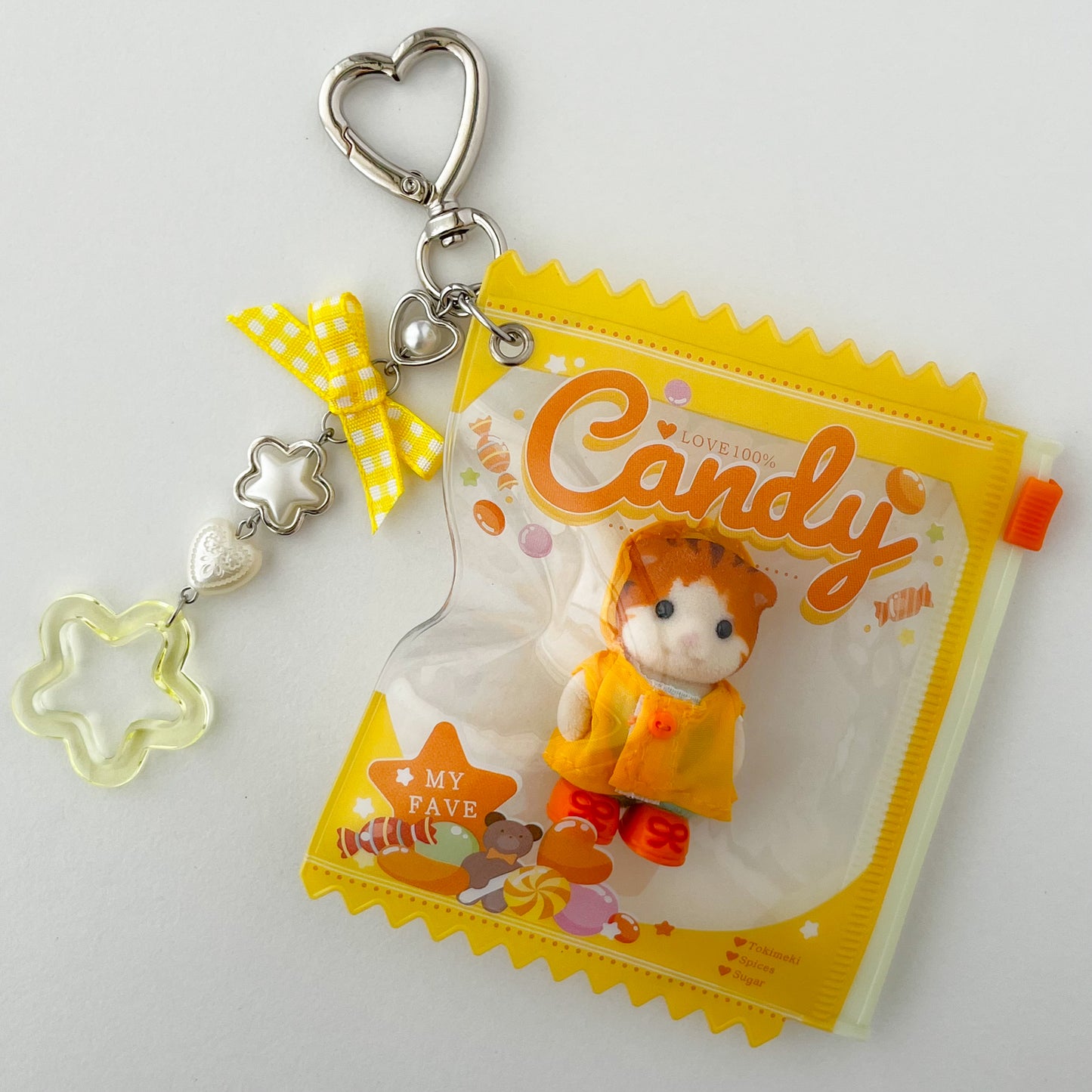 keychain carry case 🧸 raincoat cat