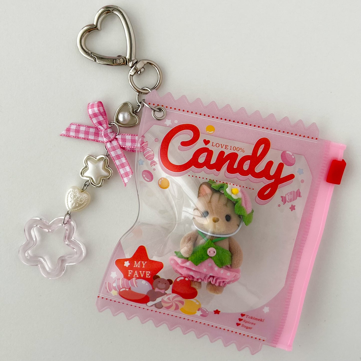 keychain carry case 🧸 strawberry tabby cat